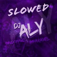 DJ ALY o INDOMÁVEL o IMPARÁVEL's avatar cover