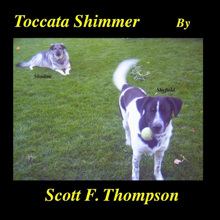 Scott F. Thompson's avatar image