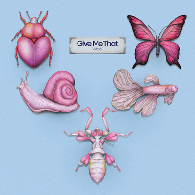 Give Me That - The 5th Mini Album's cover