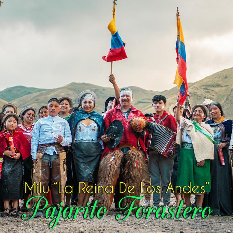 Milu "La Reina De Los Andes"'s avatar image