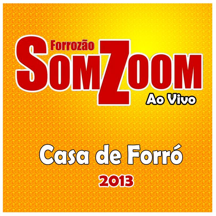 Forrozão Somzoom's avatar image