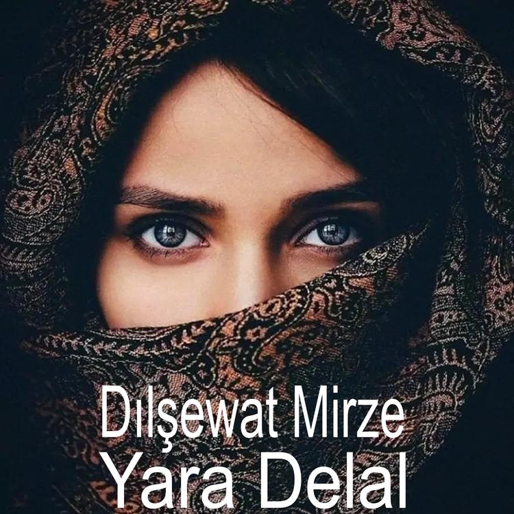 Dılşewat Mirze's avatar image