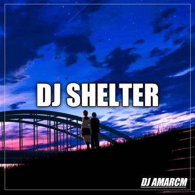 DJ Shelter's cover