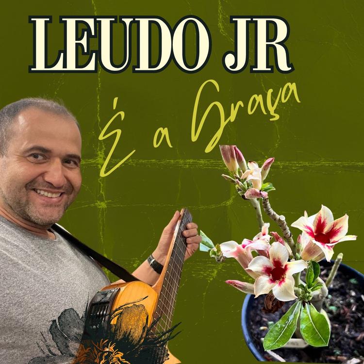 Leudo Jr's avatar image