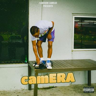 Camera's cover