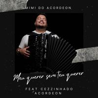 MIMI DO ACORDEON's avatar cover