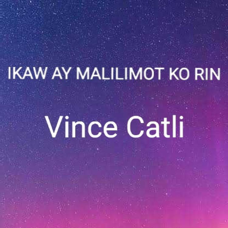 Vince Catli's avatar image