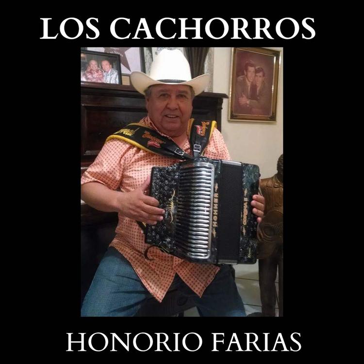 Los Cachorros's avatar image