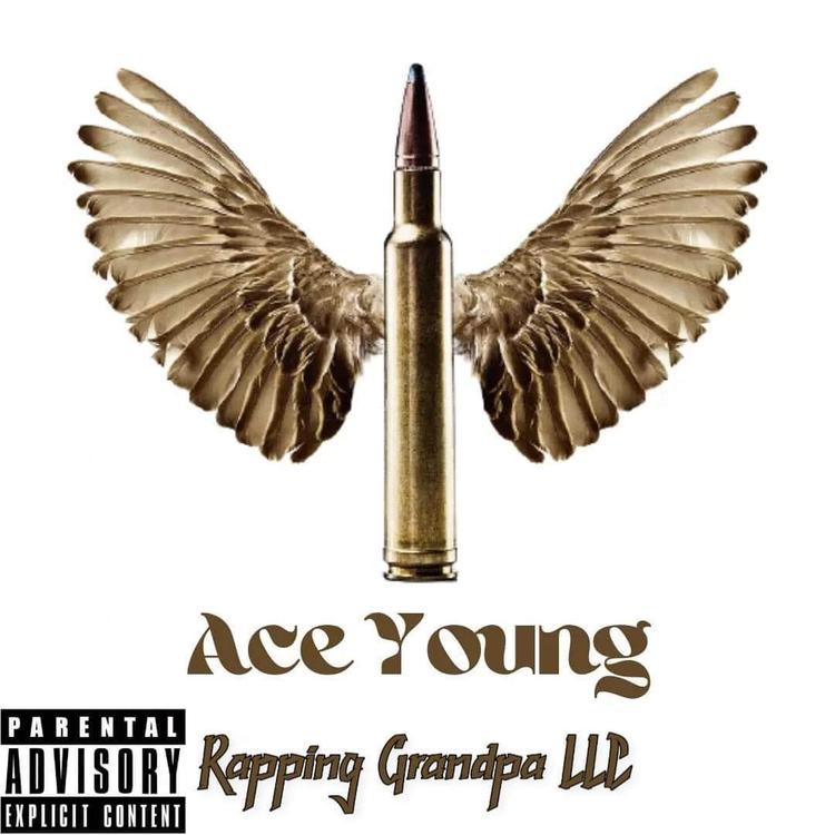 Ace Young's avatar image