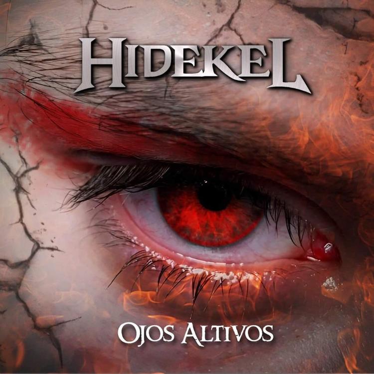 Hidekel's avatar image