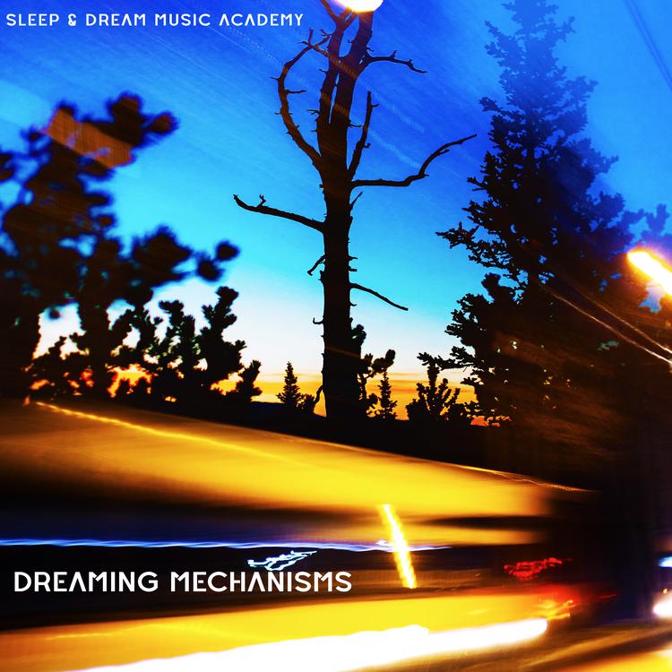 Sleep & Dream Music Academy's avatar image