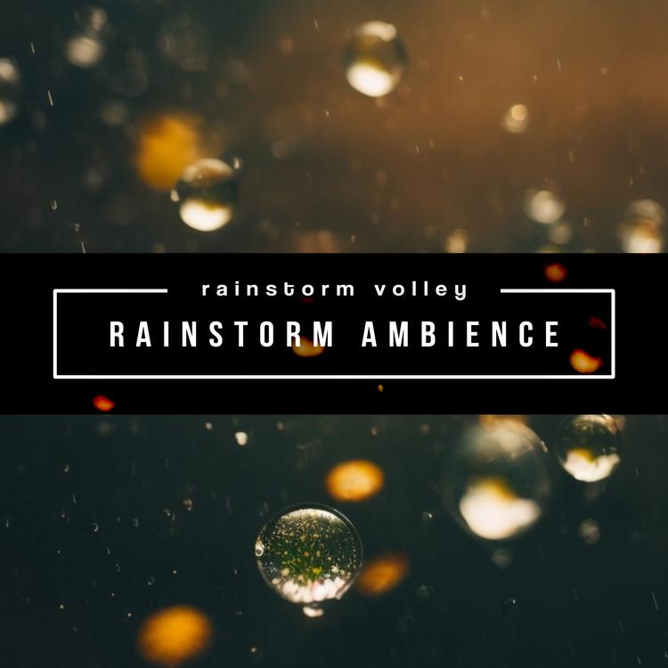 rainstorm volley's avatar image