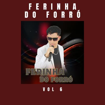 Preciso Te Encontrar By FERINHA DO FORRÓ OFICIAL's cover