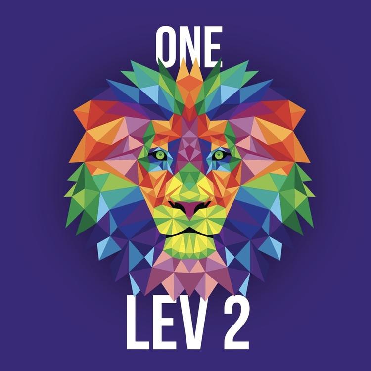 One Lev's avatar image