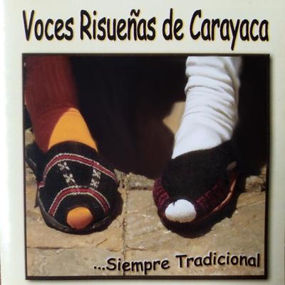 Siempre Tradicional (2008)'s cover
