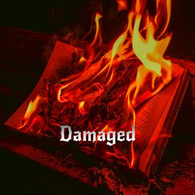 Damaged's cover