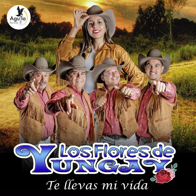 LOS FLORES DE YUNGAY's avatar image