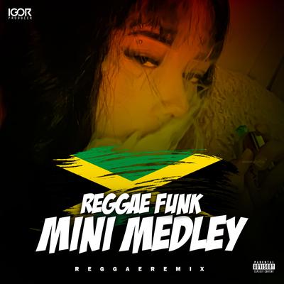 MINI MEDLEY LOKO (Reggae Funk) By Igor Producer's cover