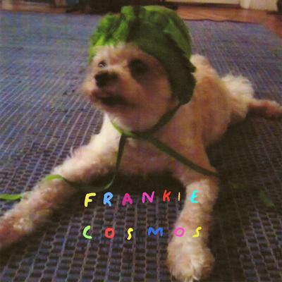 Birthday Song By Frankie Cosmos's cover