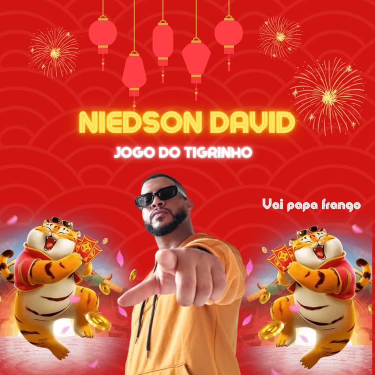 Niedson David's avatar image