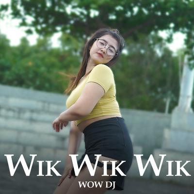 Wik Wik Wik (Remix Slow Bass)'s cover