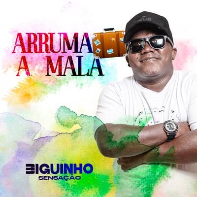 Arruma a Mala By BIGUINHO SENSAÇÃO's cover