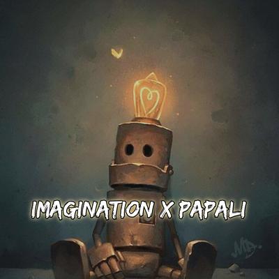 Imagination X Papali's cover