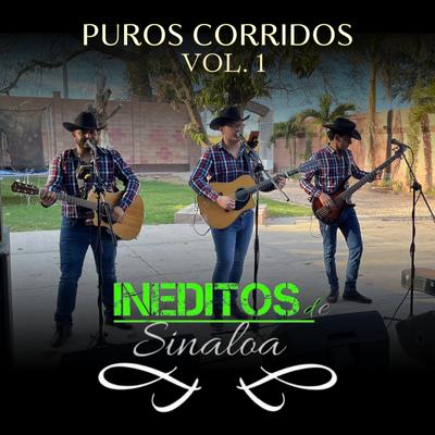 Puros corridos VOL.1 (En vivo)'s cover