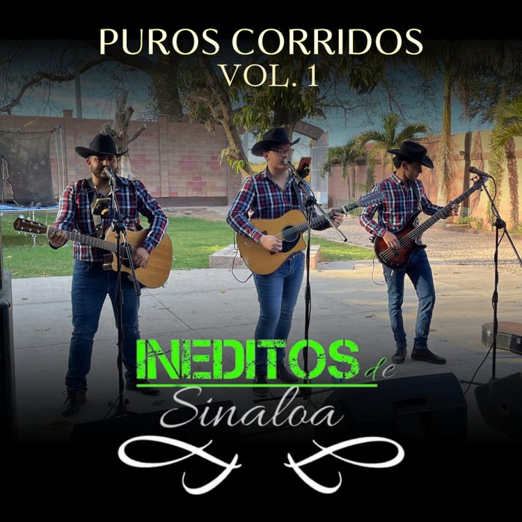 Inéditos De Sinaloa's avatar image