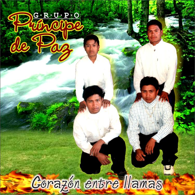 Grupo Principe de paz's avatar image