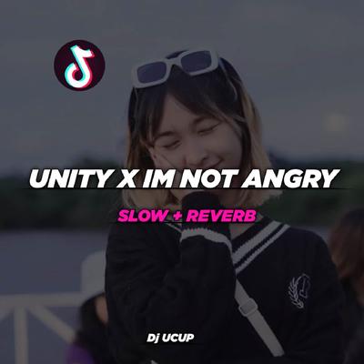 DJ UNITY X IM NOT ANGRY - INST's cover