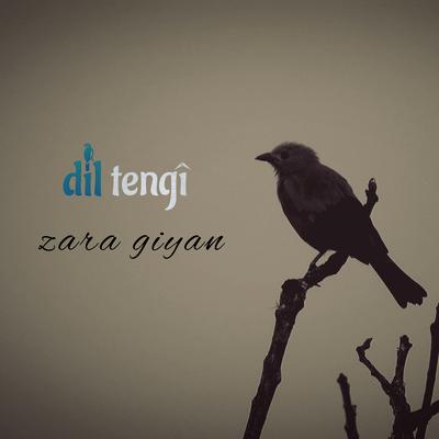Dil Tengi's cover