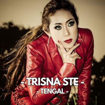 Tengal's cover