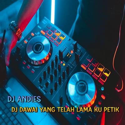 DJ Dawai Yang Telah Lama Ku petik's cover