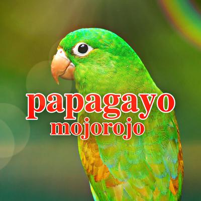 papagayo's cover