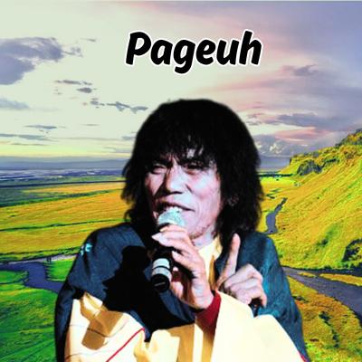 Pageuh's cover