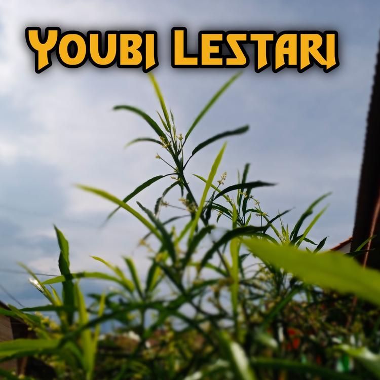 Youbi Lestari's avatar image