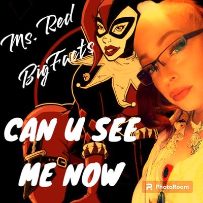 Can u see me now's cover