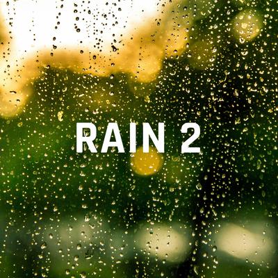 Rain Sounds Vol. 2's cover