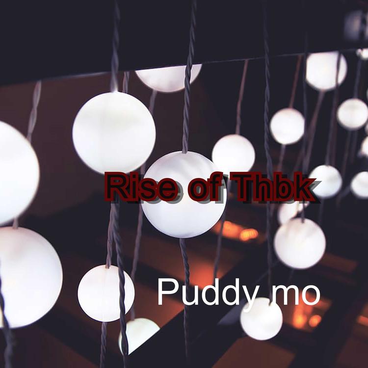 Puddy mo's avatar image