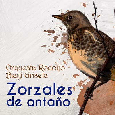 Orquesta Rodolfo Biagi's cover