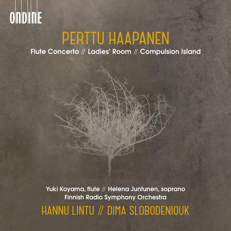 The Finnish Radio Symphony Orchestra's avatar image