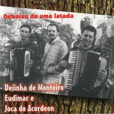 Debaixo de uma latada's cover