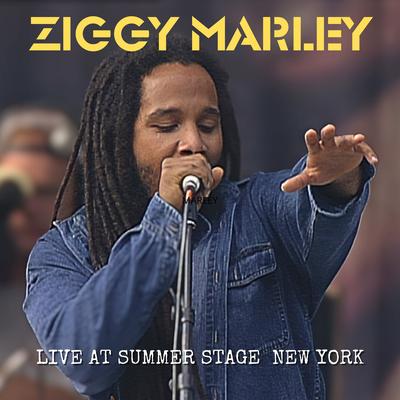 Could You Be Loved (Live) By Ziggy Marley, Stephen Marley, Skip Marley's cover