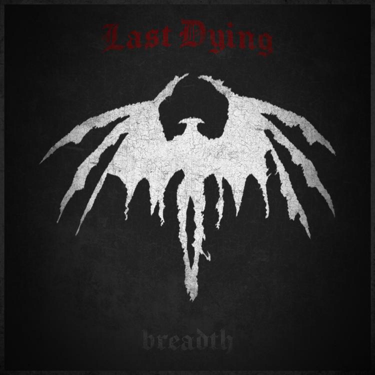 Last Dying's avatar image