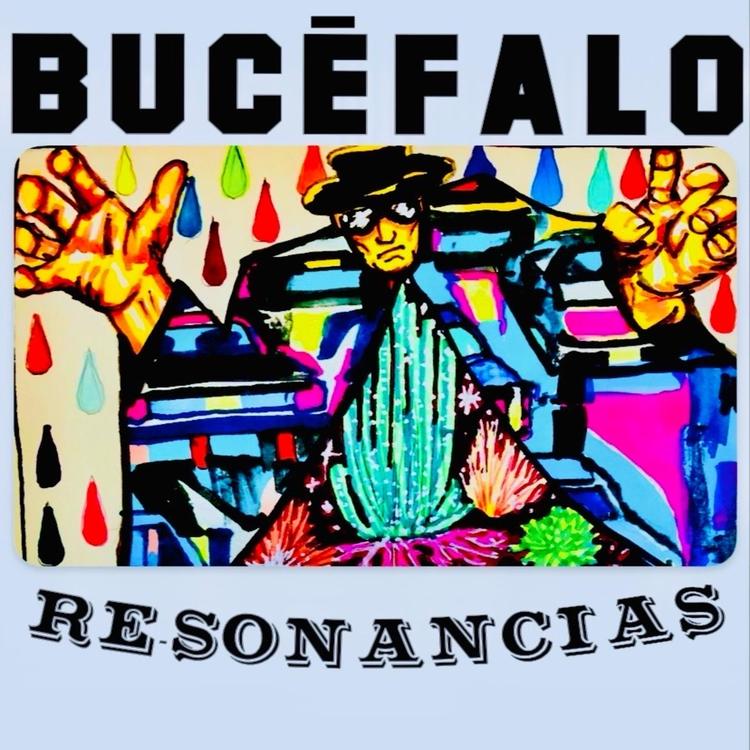 Bucéfalo's avatar image