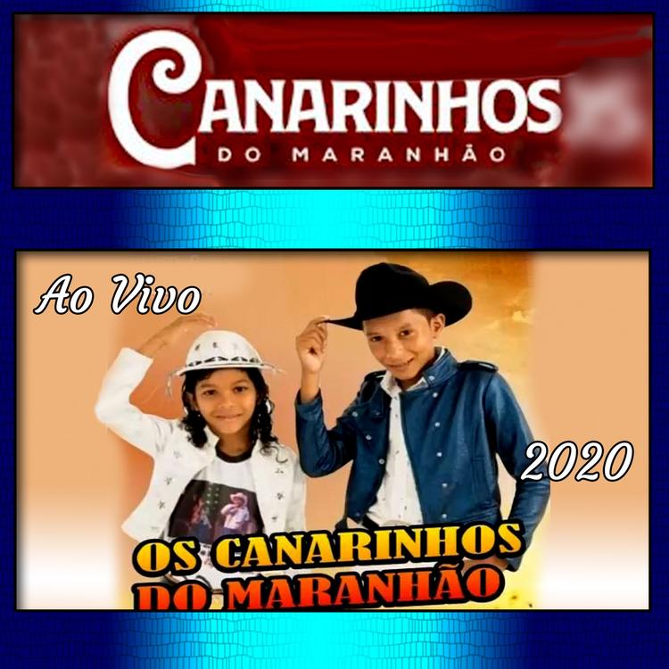 Os Canarinhos do Maranhão's avatar image