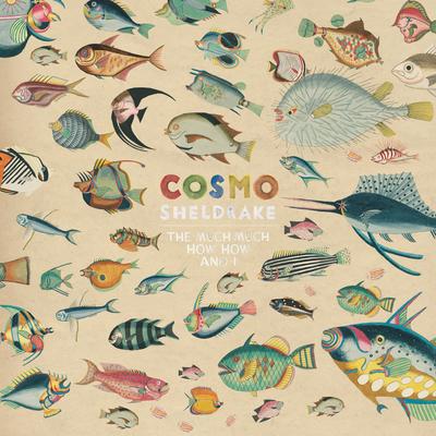 Birthday Suit By Cosmo Sheldrake's cover