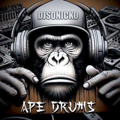 DJ Sonicko's cover