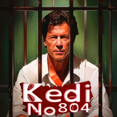 Kedi No.804 । New Imran Khan song । 8 February 2024 Election ।'s cover